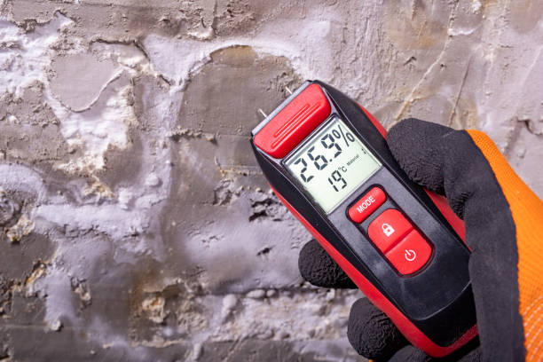 Best DIY Mold Remediation Support Services in Clear Lake Shores, TX